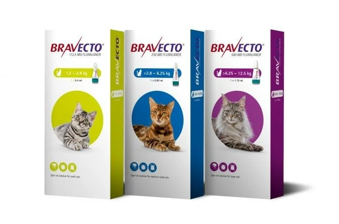 خرید Bravecto مخصوص درمان کک و کنه گربه