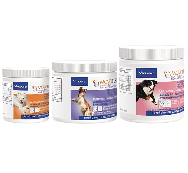 خرید مکمل مفاصل سگ MOVOFLEX Soft Chews وزن ۳۶۰ گرم ✅ حاوی BIOVAFLEX و ویتامین D3 برای تقویت استخوان، انعطاف‌پذیری مفاصل و بهبود کیفیت زندگی سگ‌ها.