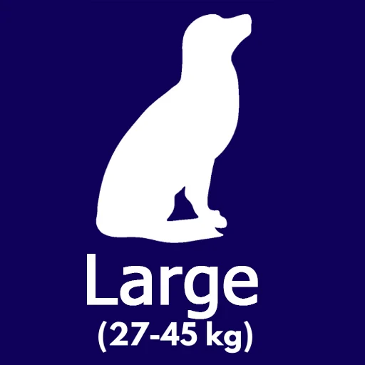 سایز L